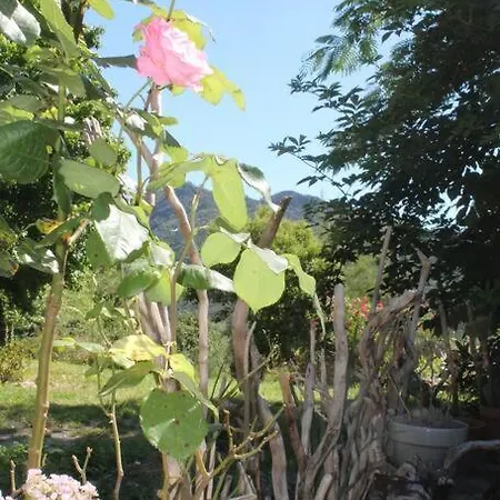 度假居 L'abri Cevenol Saint-André-de-Valborgne