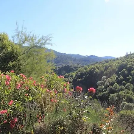度假居 L'abri Cevenol Saint-André-de-Valborgne