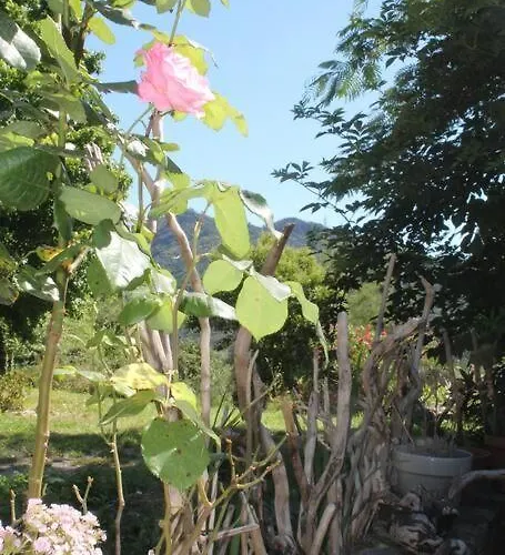 Дом отдыха L'abri Cevenol Сент-Андре-де-Вальборнь