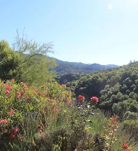 Nyaraló L'abri Cevenol Saint-André-de-Valborgne